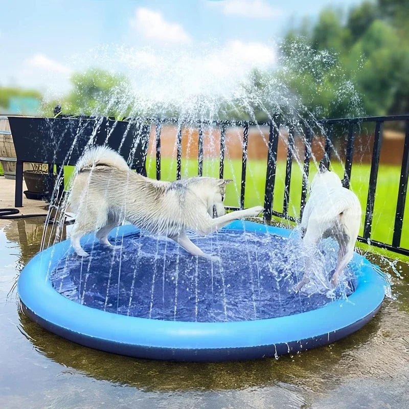 Splash & Play